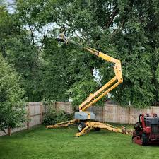 Best Tree Preservation Services  in Lowellville, OH