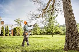 Best Emergency Tree Removal  in Lowellville, OH